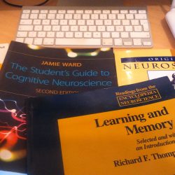 brain2learn starts