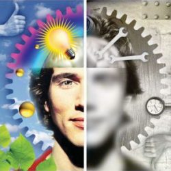 metacognition